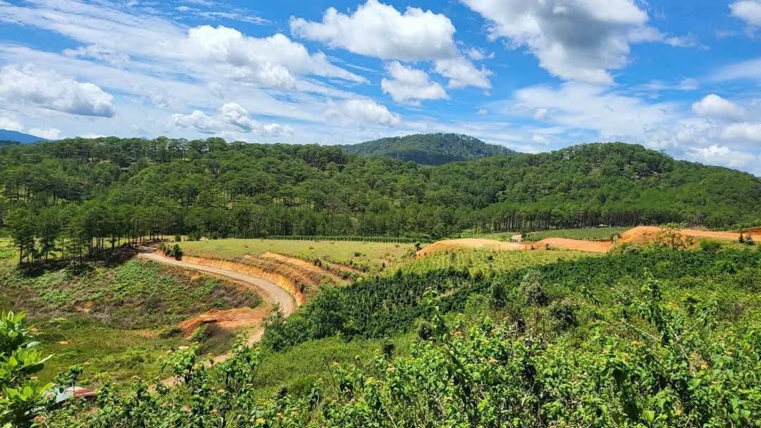 CẦN BÁN GẤP LÔ ĐẤT VIEW ĐẸP TẠI ĐASAR - LẠC DƯƠNG 4900m2 giá chỉ 3 tỷ - Ảnh chính